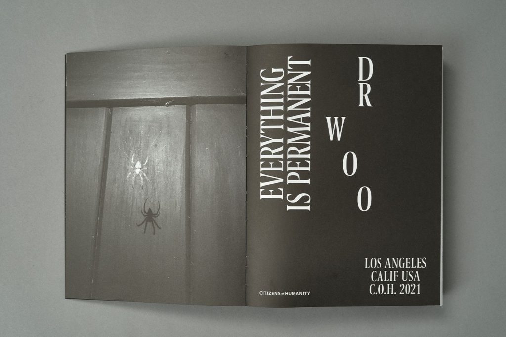 Dr.Woo Everything is Permanent 本-